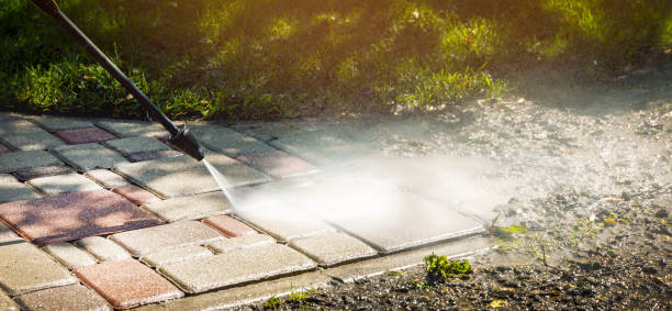 Best Sidewalk and Walkway Cleaning  in North East, MD